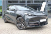 Cupra Tavascan Endurance tavascan endurance