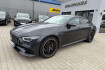 Mercedes AMG GT  benz amg gt  benz amg gt 53 4matic+ softclose assi 360 ahk sound