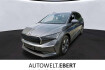 Skoda Enyaq Autres iv 80 loft/warmepumpe/acc/kamera/hud/shz/
