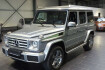 Mercedes Classe G Professional Benz g 350 d 7g tronic navi bi xenon ahk starr