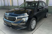 Skoda Kamiq Essence essence tsi dsg +winterrader + scheckheft