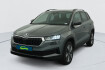 Skoda Karoq Business 2.0 tdi 116 ch scr dsg7