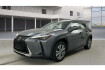 Lexus UX Autres Ux 300e luxury head up kamera navi leder sitzklima