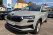 Skoda Karoq Tour tour