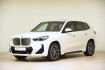 BMW iX1 M Sportpaket Ix1 xdrive30 m sportpaket acc led dab ahk h&k