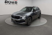 Skoda Kamiq Monte Carlo acc ahk kam. led pdc shz alu aut
