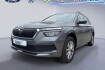 Skoda Kamiq Ambition 1.0 tsi ambition opf 81 kw (110 ps)  autom. 7 g?