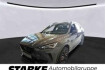 Cupra Formentor Tribe Edition 1.5 tsi dsg tribe edition