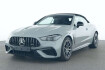 Mercedes CLE 53 AMG Autres Benz cle 53 amg premiium+dist+burm 3d+360 +night+voll