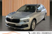 Skoda Kamiq Selection 1.0 tsi dsg selection*dab+*spurassist*led
