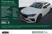 Skoda Scala Tour tour 1.5tsi 6 gang led navi rfk pdc shz