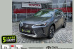 Lexus UX Style Ux 250h ux 250 h style edition zuverlassiger crossover