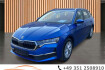 Skoda Octavia Autres 2.0 tdi dsg selection*dab*sideassist