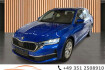 Skoda Octavia Autres 2.0 tdi dsg selection*dab*sideassist