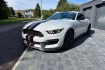 Ford Mustang Fastback GT Mustang shelby gt 350 fastback