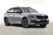 Skoda Kamiq Monte-Carlo 150 dsg monte pano matrix cam kessy