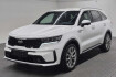 Kia Sorento Vision 4wd platinum 7 sitze/leder/bose/360kam