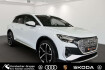 Audi Q4 e-tron Autres Q4 e tron 40 s line pano assistenzplus dynamikpa