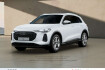 Audi Q5 edition one tdi qu ahk pano led pdc acc kamera navi+ 19?