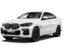 BMW X6 Autres xdrive40d m sportpaket panorama ahk m sitze l