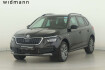 Skoda Kamiq Tour 1.5 tsi tour *acc*led*pts*ruckfahrkamera**
