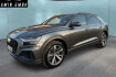 Audi Q8 Autres 50 tdi quattro s line pano leder acc luftfede