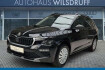 Skoda Kamiq Selection selection 1.0 tsi dsg matrix ahk smartlink