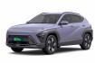 Hyundai Kona Electric Executive Hybrid 138