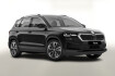 Skoda Karoq Selection 116 selec acc sidea cam kessy suns