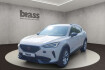 Cupra Formentor Autres 1.5 tsi 7 gang dsg