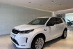 Land Rover Discovery R-Dynamic SE sport d200 r dyn se pano ahk winterpaket