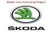 Skoda Kamiq Tour tour/led/navi/pano/digital/kam/pakete/1.hd