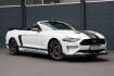 Ford Mustang Fastback Autres Mustang 2.3 55years/shz/sbl/led/carplay/kamera