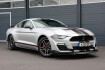 Ford Mustang Fastback Autres Mustang 2.3 gt500/shz/sbl/ambiente/apple/kamera