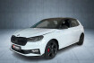Skoda Fabia Edition edition 130 1 5l tsi dsg navi/fse/led/lm