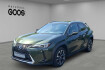 Lexus UX F Sport Ux 250h led acc apple carplay android auto fahrerprofil mu