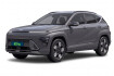 Hyundai Kona Electric Executive Hybrid 138