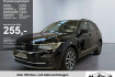 Volkswagen Tiguan Life life 1.5 tsi lenkradheizung acc lm