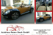 Volkswagen New Beetle Autres New beetle 2 0 tsi cabriolet autom leder kamera