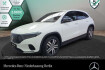 Mercedes EQA Autres Benz eqa 250 electricart+night+plus paket+360+keyless