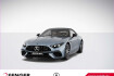 Mercedes SL 43 AMG Autres Benz sl 43 amg night v8 styling 21zoll manufaktur