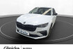 Skoda Scala Tour 1.0 tsi ruka pdc led sihz