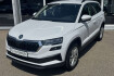 Skoda Karoq Selection selection led winterpaket carplay tempomat