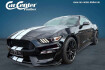 Ford Mustang Fastback Autres Mustang shelby gt 350+technology pckg.
