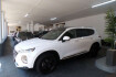 Hyundai Santa Fe Premium Santa fe premium 4wd/pano.glas/leder/automatik