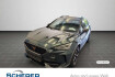 Cupra Formentor VZ 2.0 tsi vz full link  pano  beats  shz