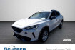 Cupra Formentor Autres 1 5 tsi dsg navi/led/pdc/u.v.m.