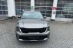 Kia Sorento Platinum platinum