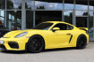 Porsche Cayman Autres 718 gt4 4.0 clubsport / schale / chrono / bose