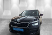 Skoda Kamiq Tour tour kamera einparkh sitzh
